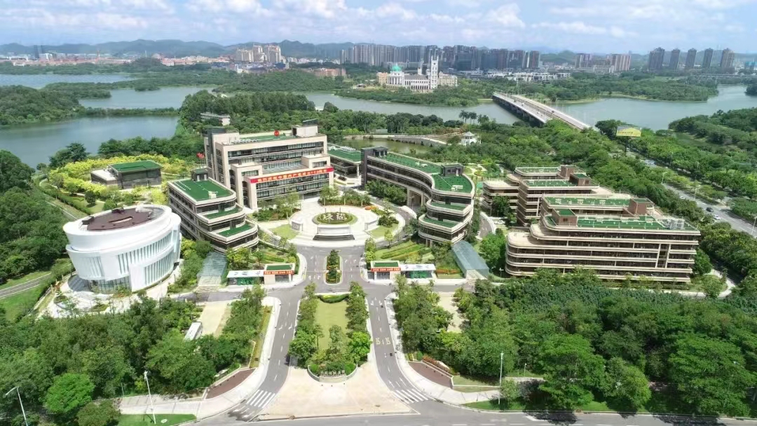 玖龙.jpg