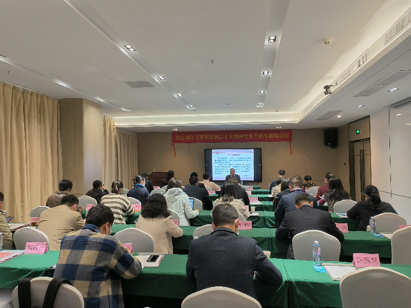 3 12月8日上午，东莞市委党校经济学教研部主任、副教授何清带来《践行新发展理念 推动东莞高质量发展》.jpg