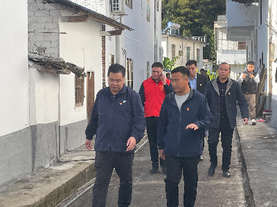 实地走访了解鱼皇村建设情况 (2).jpg