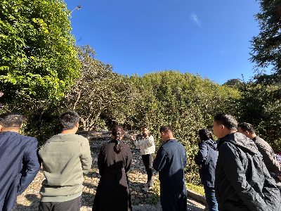 红色研学（党建）休闲步道 (2).jpg